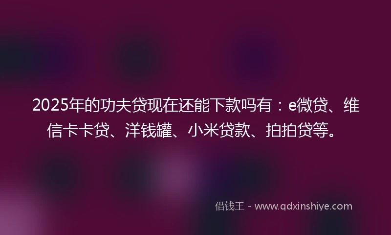 2025年的功夫贷现在还能下款吗有：e微贷、维信卡卡贷、洋钱罐、小米贷款、拍拍贷等。