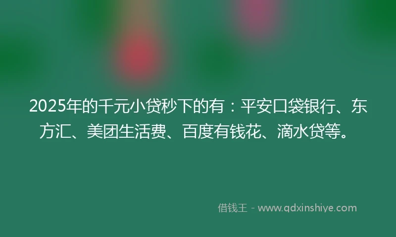 2025年的千元小贷秒下的有：平安口袋银行、东方汇、美团生活费、百度有钱花、滴水贷等。