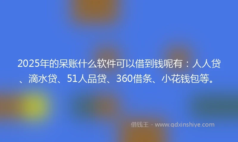 2025年的呆账什么软件可以借到钱呢有：人人贷、滴水贷、51人品贷、360借条、小花钱包等。