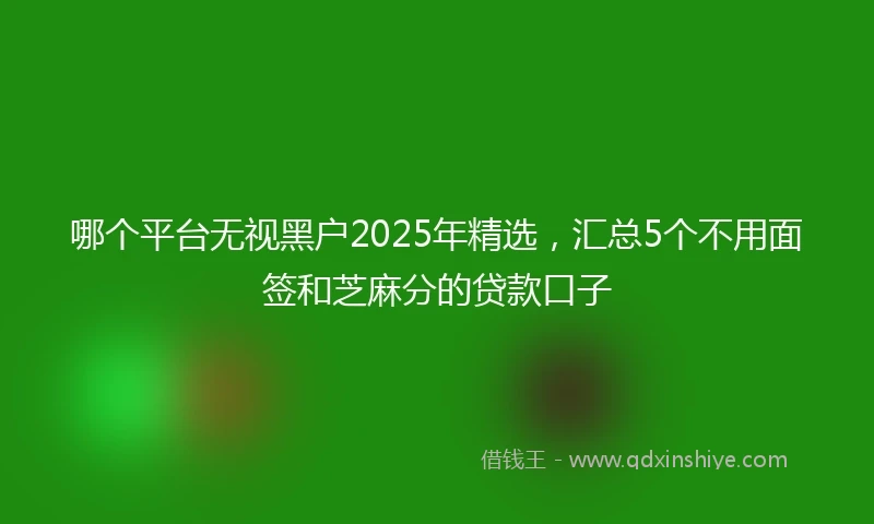 哪个平台无视黑户2025年精选，汇总5个不用面签和芝麻分的贷款口子