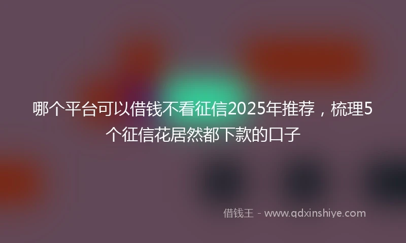 哪个平台可以借钱不看征信2025年推荐，梳理5个征信花居然都下款的口子