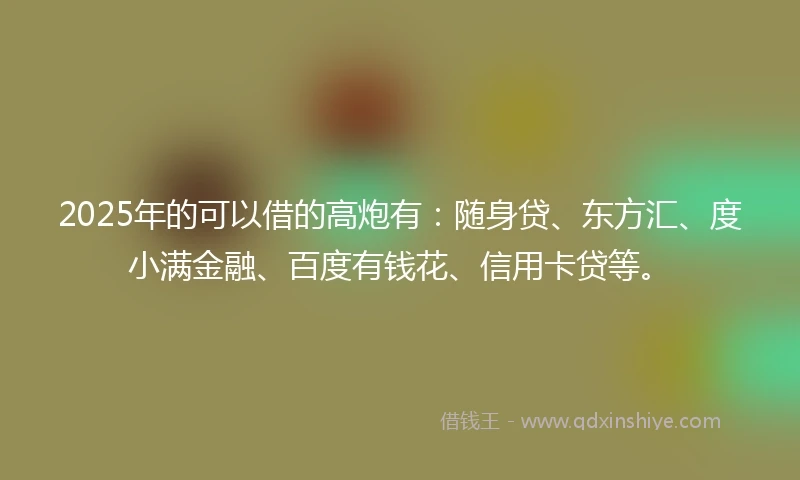 2025年的可以借的高炮有:随身贷、东方汇、度小满金融、百度有钱花、信用卡贷等。