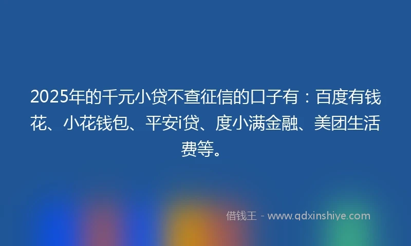 2025年的千元小贷不查征信的口子有：百度有钱花、小花钱包、平安i贷、度小满金融、美团生活费等。