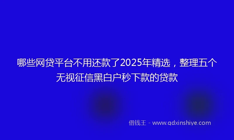 哪些网贷平台不用还款了2025年精选，整理五个无视征信黑白户秒下款的贷款