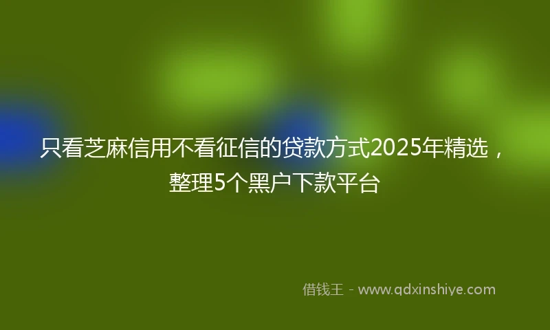 只看芝麻信用不看征信的贷款方式2025年精选，整理5个黑户下款平台
