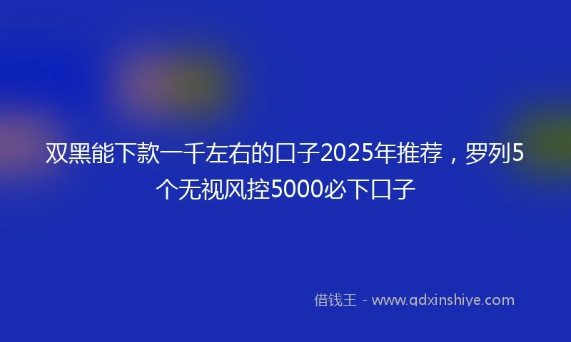 双黑能下款一千左右的口子2025年推荐，罗列5个无视风控5000必下口子