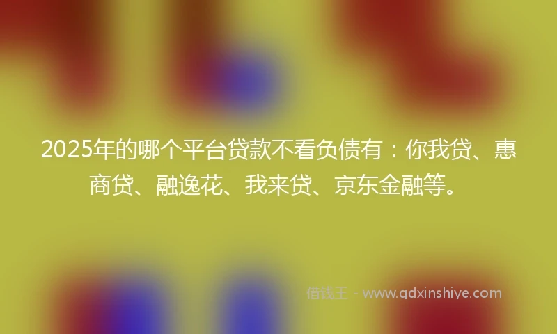 2025年的哪个平台贷款不看负债有：你我贷、惠商贷、融逸花、我来贷、京东金融等。