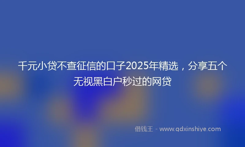 千元小贷不查征信的口子2025年精选，分享五个无视黑白户秒过的网贷