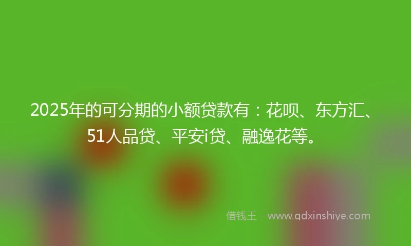 2025年的可分期的小额贷款有:花呗、东方汇、51人品贷、平安i贷、融逸花等。