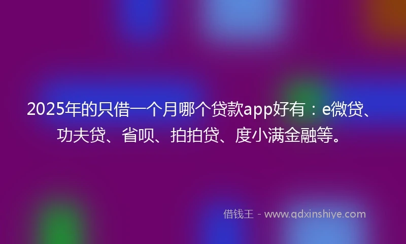 2025年的只借一个月哪个贷款app好有：e微贷、功夫贷、省呗、拍拍贷、度小满金融等。