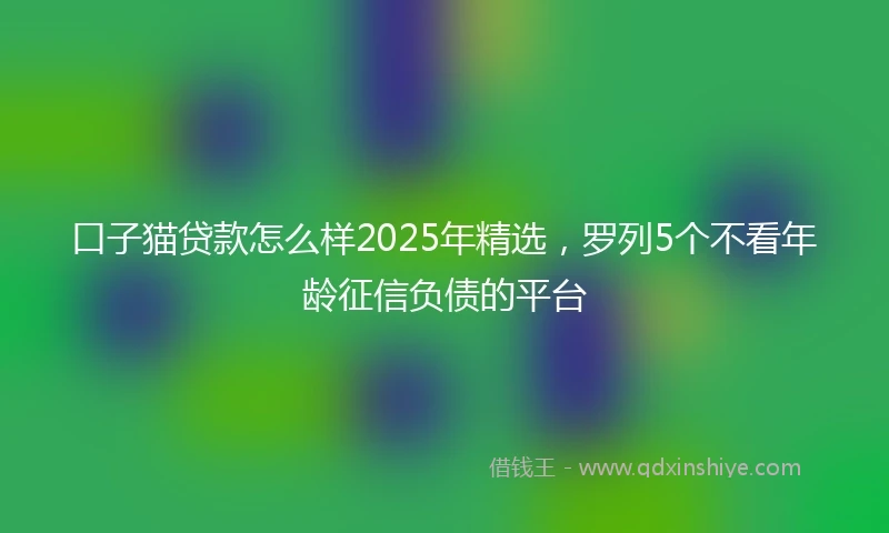 口子猫贷款怎么样2025年精选,罗列5个不看年龄征信负债的平台