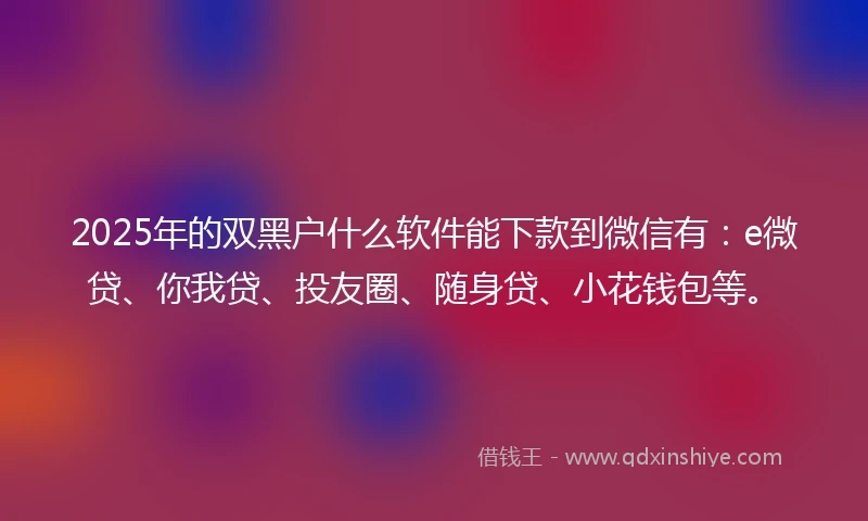 2025年的双黑户什么软件能下款到微信有：e微贷、你我贷、投友圈、随身贷、小花钱包等。