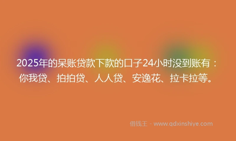 2025年的呆账贷款下款的口子24小时没到账有：你我贷、拍拍贷、人人贷、安逸花、拉卡拉等。