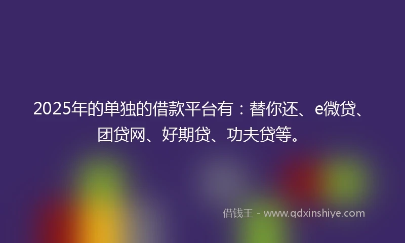 2025年的单独的借款平台有：替你还、e微贷、团贷网、好期贷、功夫贷等。