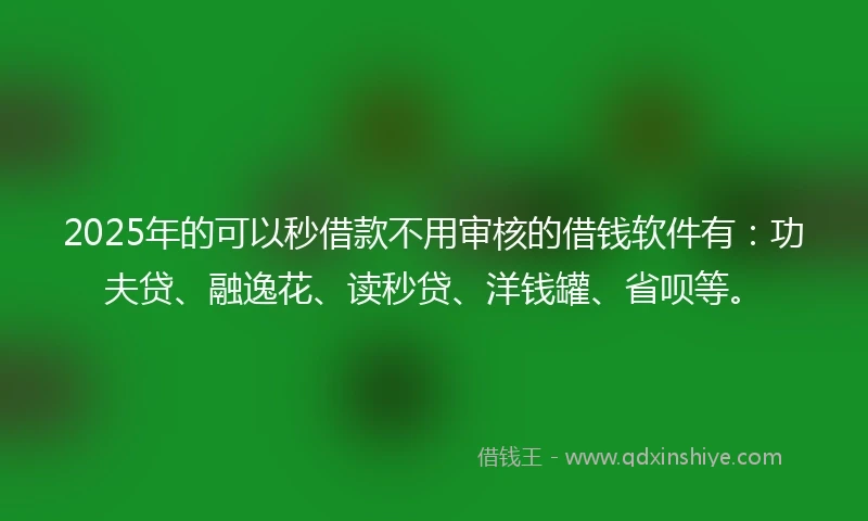 2025年的可以秒借款不用审核的借钱软件有：功夫贷、融逸花、读秒贷、洋钱罐、省呗等。