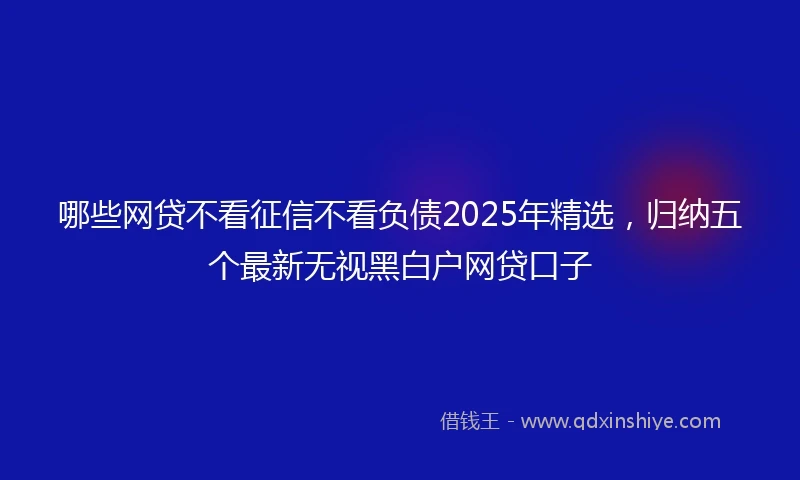 哪些网贷不看征信不看负债2025年精选,归纳五个最新无视黑白户网贷口子
