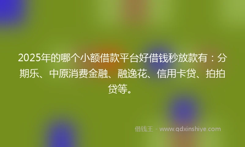 2025年的哪个小额借款平台好借钱秒放款有：分期乐、中原消费金融、融逸花、信用卡贷、拍拍贷等。