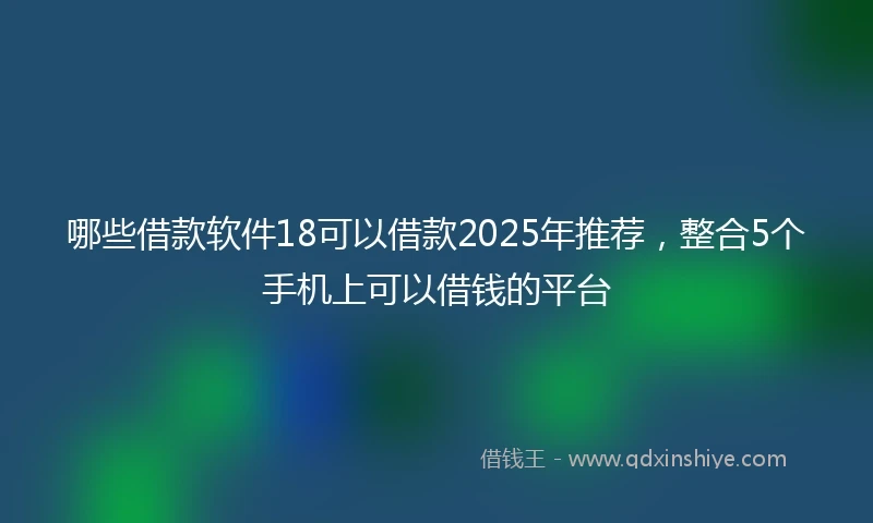 哪些借款软件18可以借款2025年推荐，整合5个手机上可以借钱的平台
