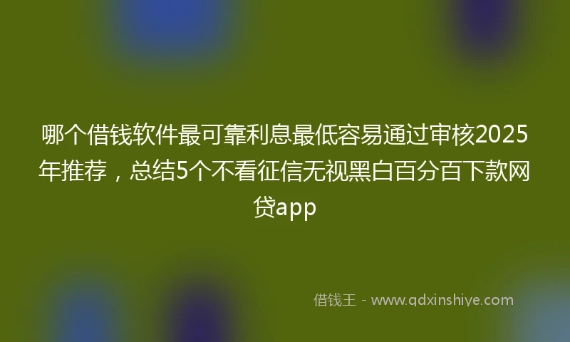 哪个借钱软件最可靠利息最低容易通过审核2025年推荐，总结5个不看征信无视黑白百分百下款网贷app