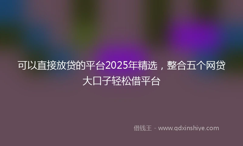 可以直接放贷的平台2025年精选，整合五个网贷大口子轻松借平台