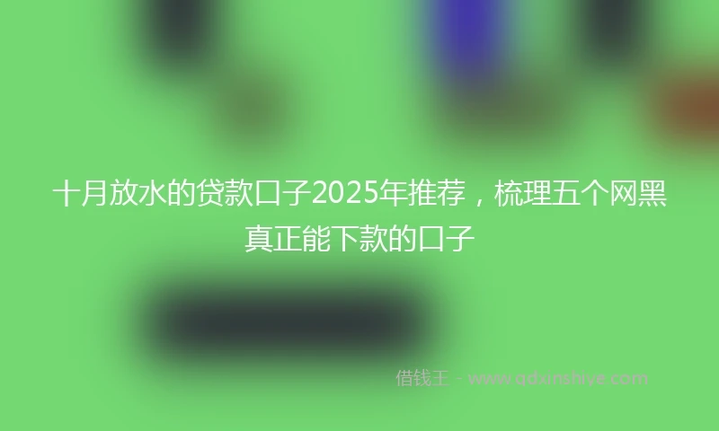 十月放水的贷款口子2025年推荐，梳理五个网黑真正能下款的口子