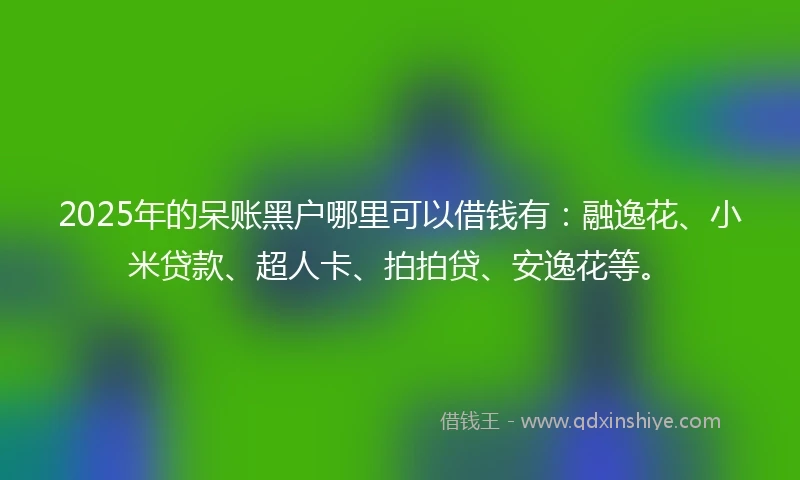 2025年的呆账黑户哪里可以借钱有：融逸花、小米贷款、超人卡、拍拍贷、安逸花等。