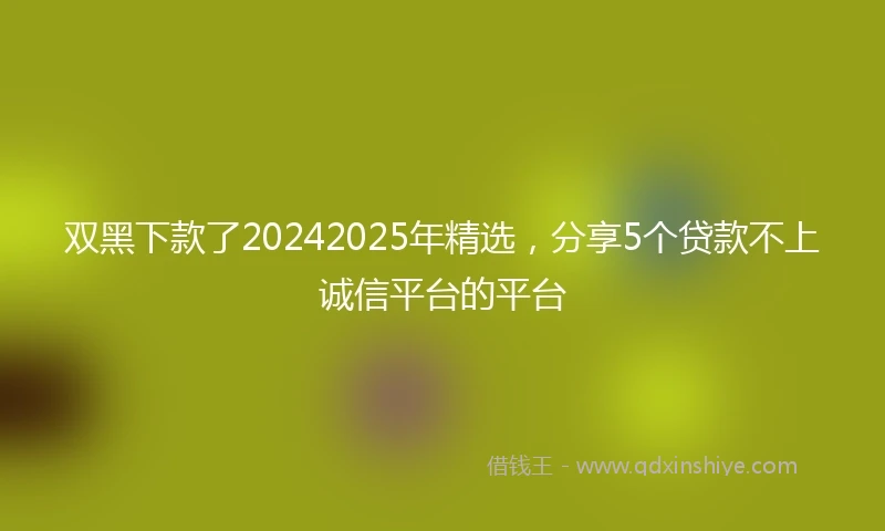 双黑下款了20242025年精选，分享5个贷款不上诚信平台的平台