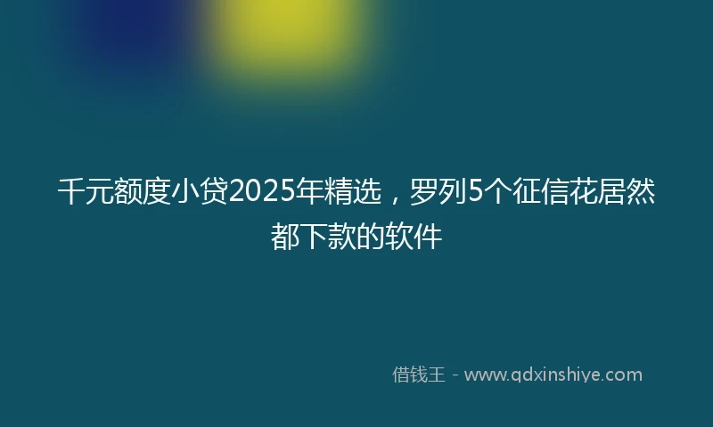 千元额度小贷2025年精选，罗列5个征信花居然都下款的软件