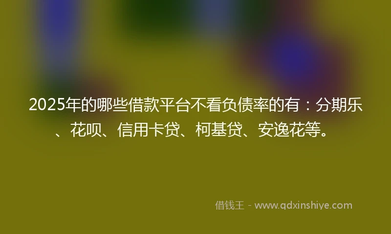 2025年的哪些借款平台不看负债率的有：分期乐、花呗、信用卡贷、柯基贷、安逸花等。