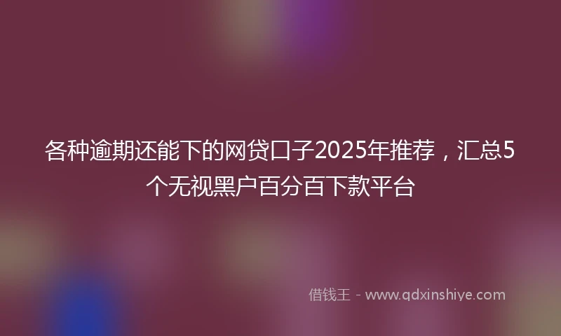 各种逾期还能下的网贷口子2025年推荐,汇总5个无视黑户百分百下款平台