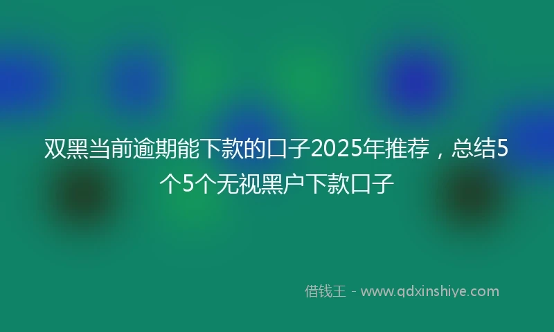 双黑当前逾期能下款的口子2025年推荐，总结5个5个无视黑户下款口子