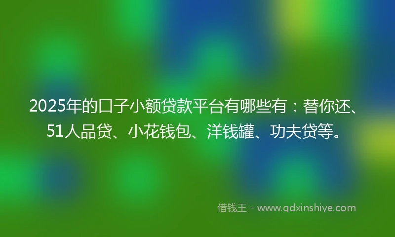 2025年的口子小额贷款平台有哪些有：替你还、51人品贷、小花钱包、洋钱罐、功夫贷等。