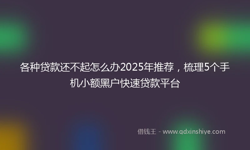 各种贷款还不起怎么办2025年推荐，梳理5个手机小额黑户快速贷款平台