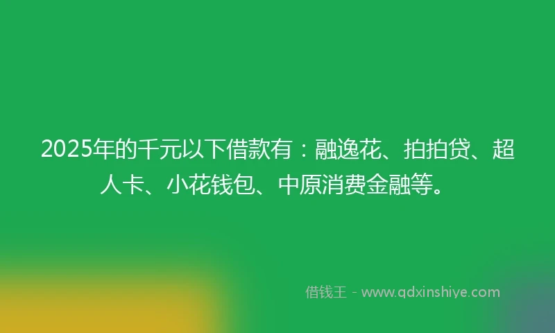 2025年的千元以下借款有：融逸花、拍拍贷、超人卡、小花钱包、中原消费金融等。