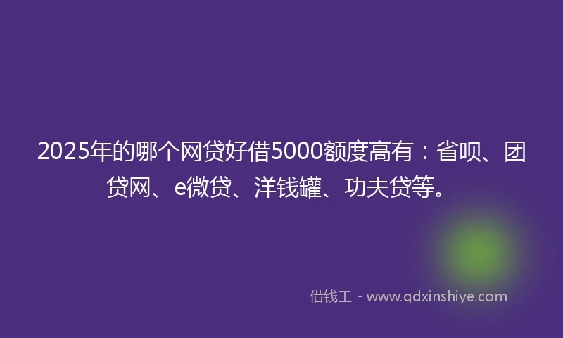2025年的哪个网贷好借5000额度高有：省呗、团贷网、e微贷、洋钱罐、功夫贷等。