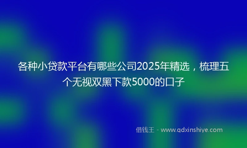 各种小贷款平台有哪些公司2025年精选，梳理五个无视双黑下款5000的口子