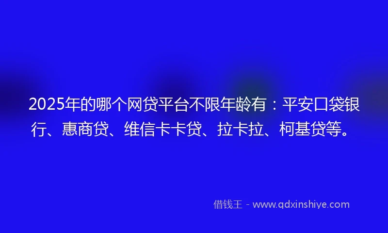2025年的哪个网贷平台不限年龄有：平安口袋银行、惠商贷、维信卡卡贷、拉卡拉、柯基贷等。