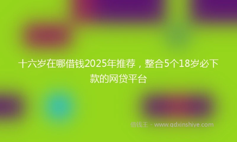 十六岁在哪借钱2025年推荐，整合5个18岁必下款的网贷平台