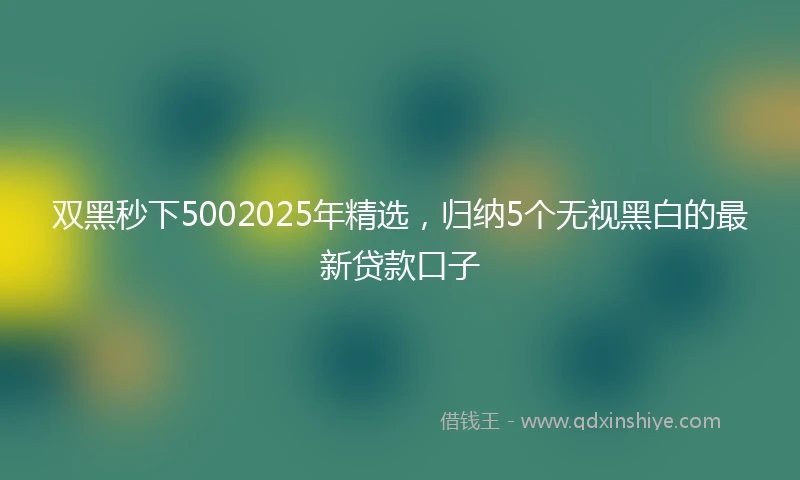 双黑秒下5002025年精选，归纳5个无视黑白的最新贷款口子