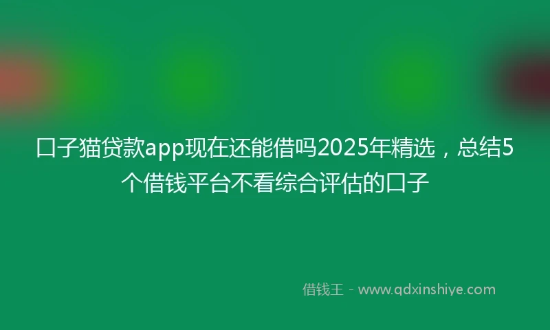 口子猫贷款app现在还能借吗2025年精选，总结5个借钱平台不看综合评估的口子
