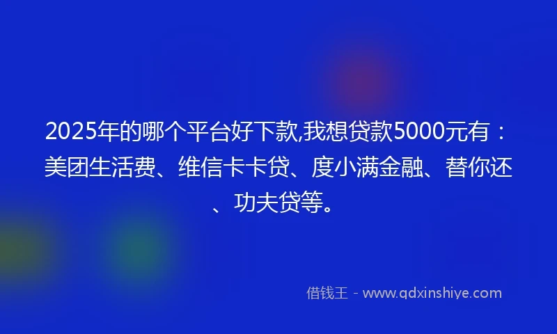 2025年的哪个平台好下款,我想贷款5000元有：美团生活费、维信卡卡贷、度小满金融、替你还、功夫贷等。