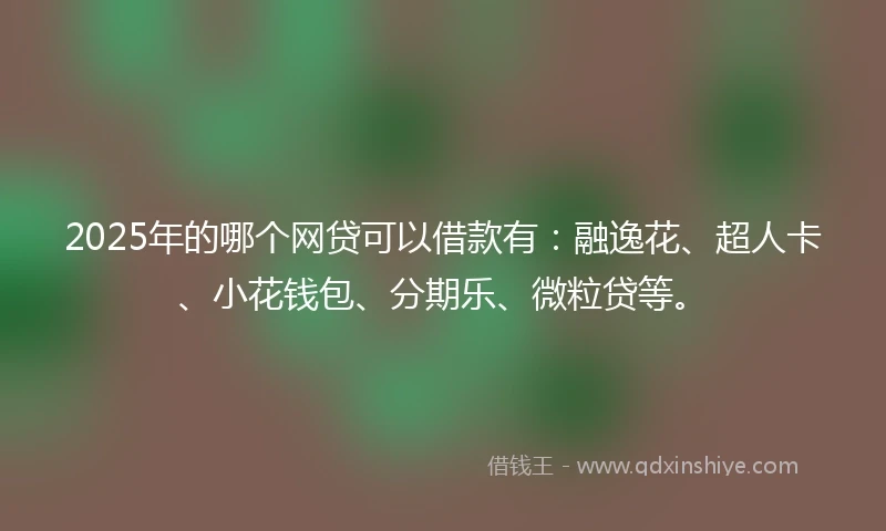 2025年的哪个网贷可以借款有：融逸花、超人卡、小花钱包、分期乐、微粒贷等。