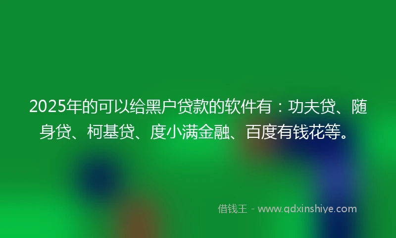 2025年的可以给黑户贷款的软件有：功夫贷、随身贷、柯基贷、度小满金融、百度有钱花等。