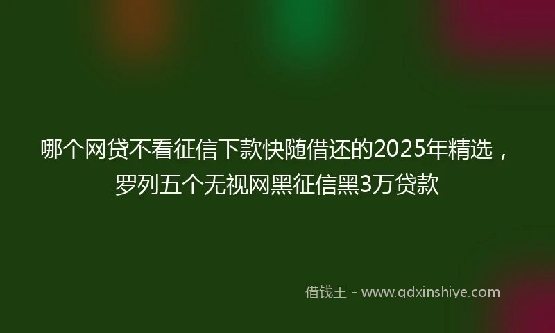 哪个网贷不看征信下款快随借还的2025年精选，罗列五个无视网黑征信黑3万贷款