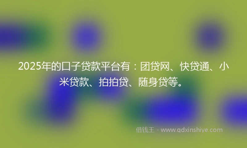 2025年的口子贷款平台有：团贷网、快贷通、小米贷款、拍拍贷、随身贷等。