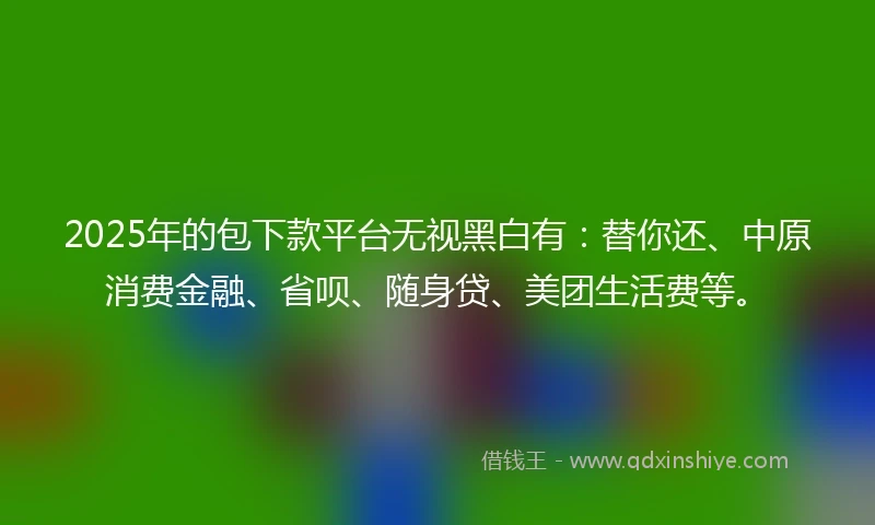 2025年的包下款平台无视黑白有：替你还、中原消费金融、省呗、随身贷、美团生活费等。