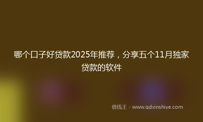 哪个口子好贷款2025年推荐，分享五个11月独家贷款的软件