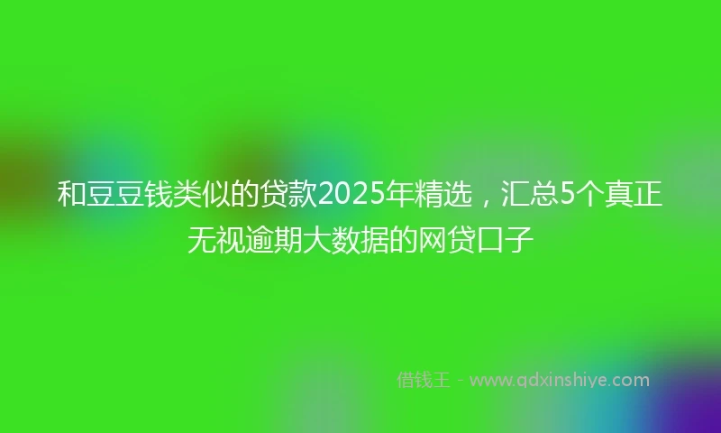 和豆豆钱类似的贷款2025年精选，汇总5个真正无视逾期大数据的网贷口子