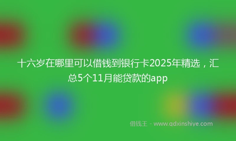 十六岁在哪里可以借钱到银行卡2025年精选，汇总5个11月能贷款的app