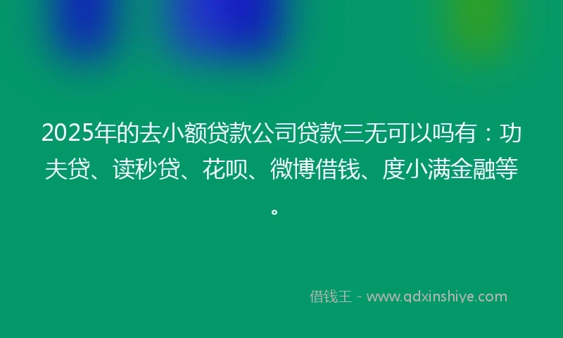 2025年的去小额贷款公司贷款三无可以吗有：功夫贷、读秒贷、花呗、微博借钱、度小满金融等。